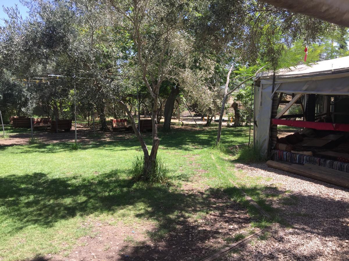 Peace Tent Kfar Rut Exterior foto