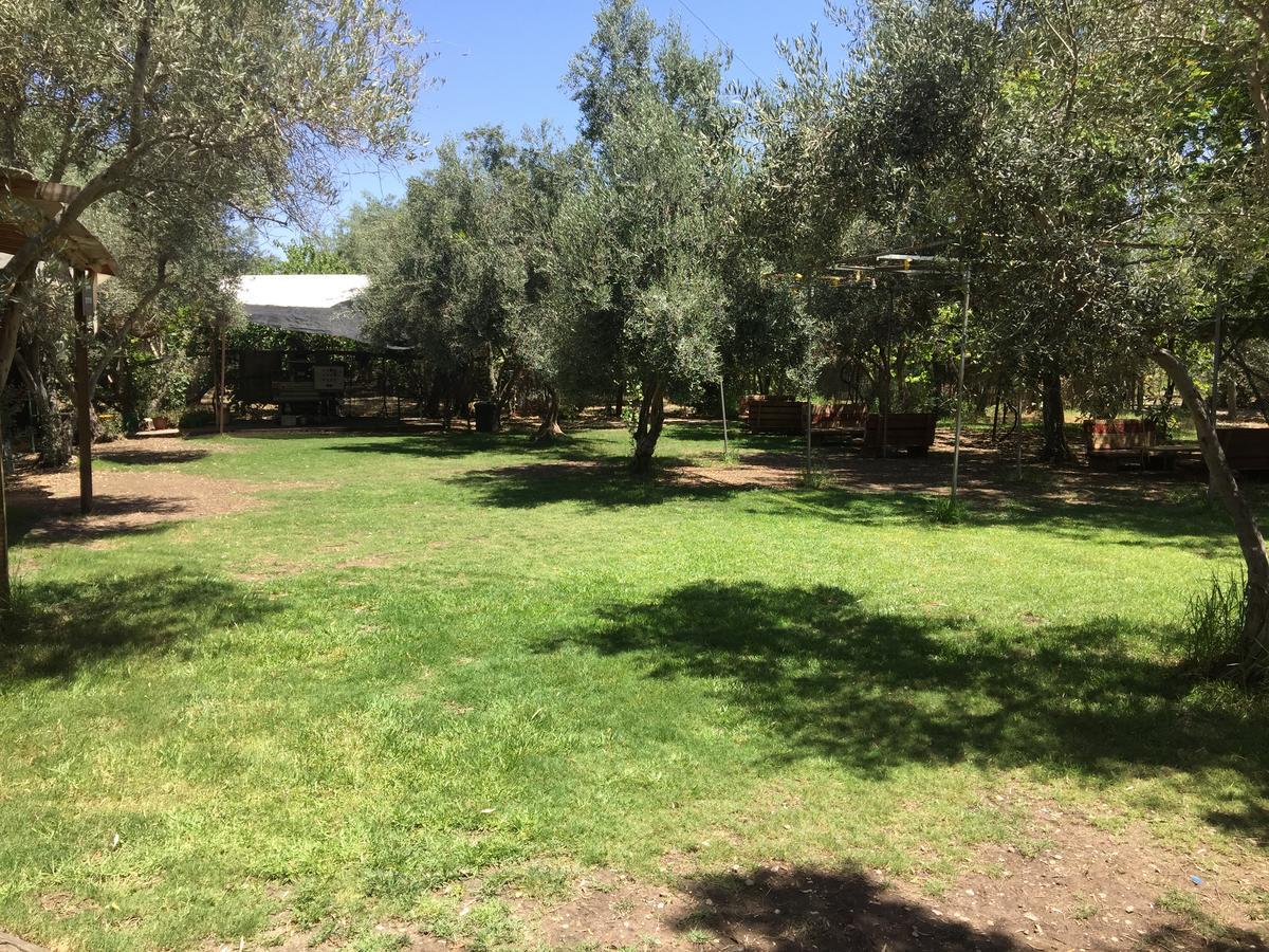 Peace Tent Kfar Rut Exterior foto
