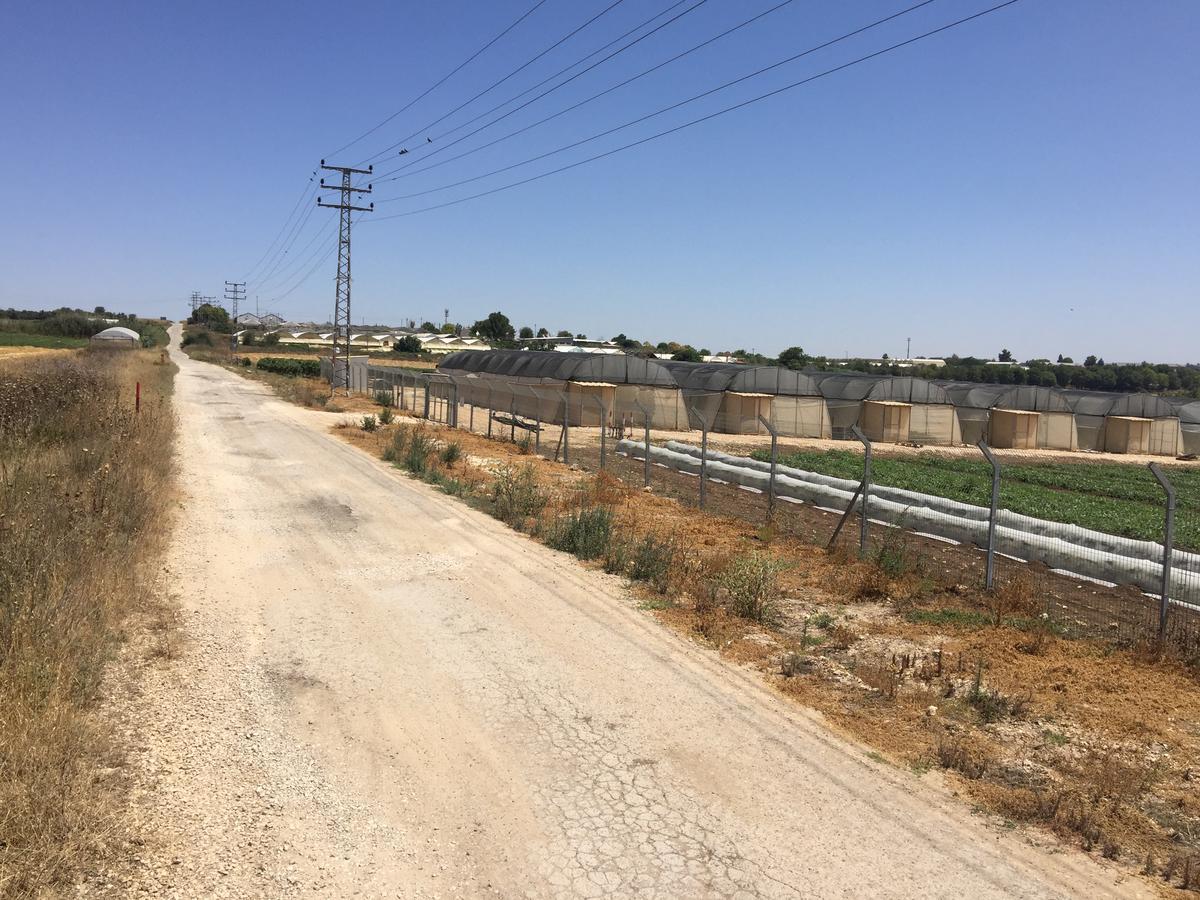 Peace Tent Kfar Rut Exterior foto